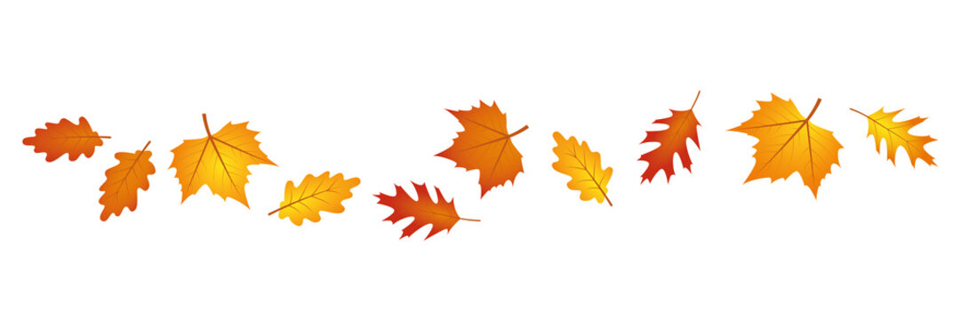 Autumn banner